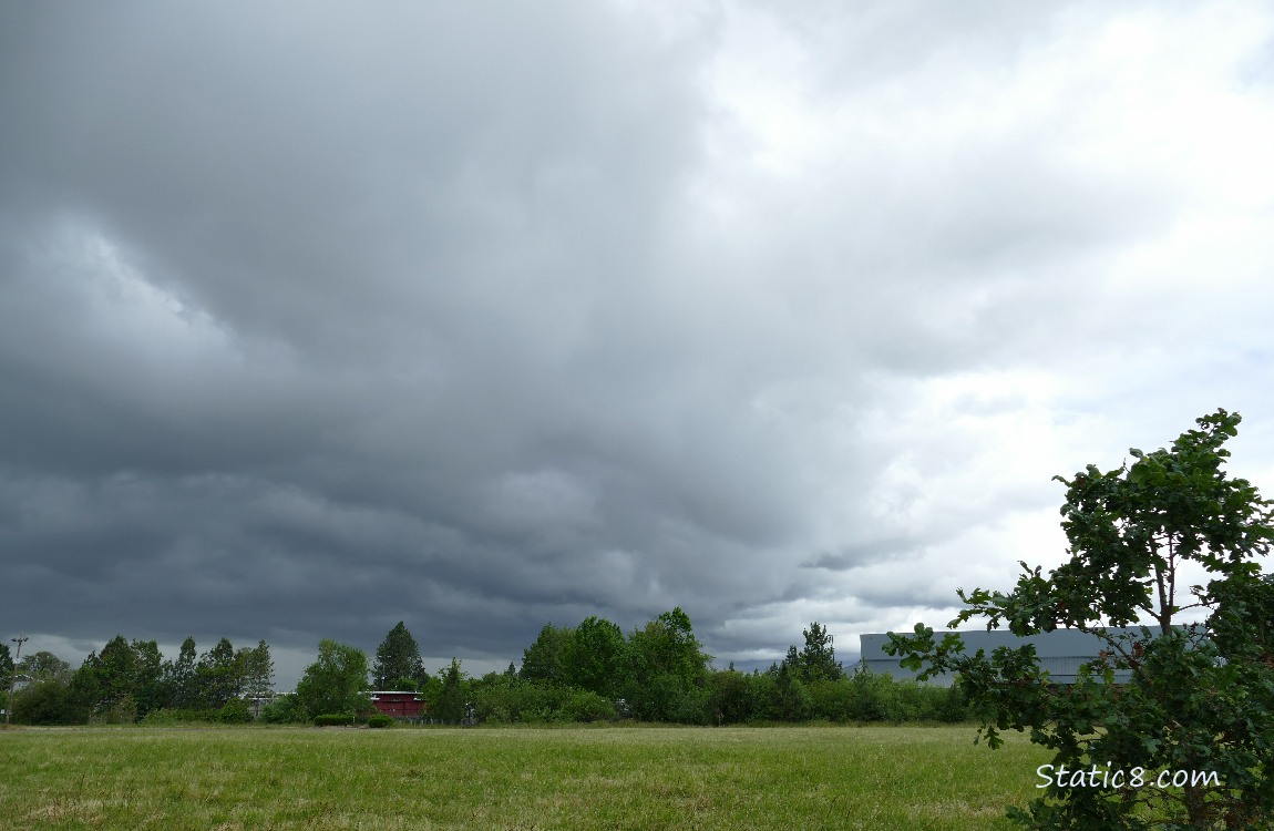 Clouds over a field