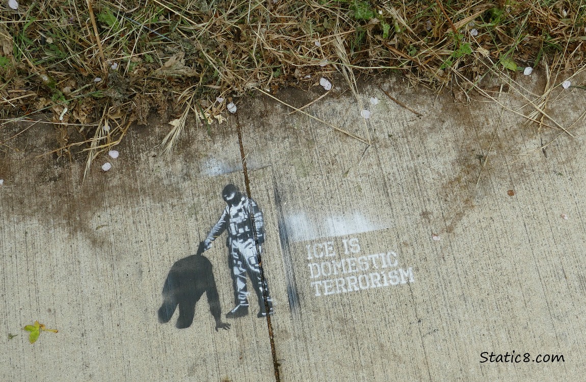 Graffiti on the sidewalk: ICE is domestic terrorism
