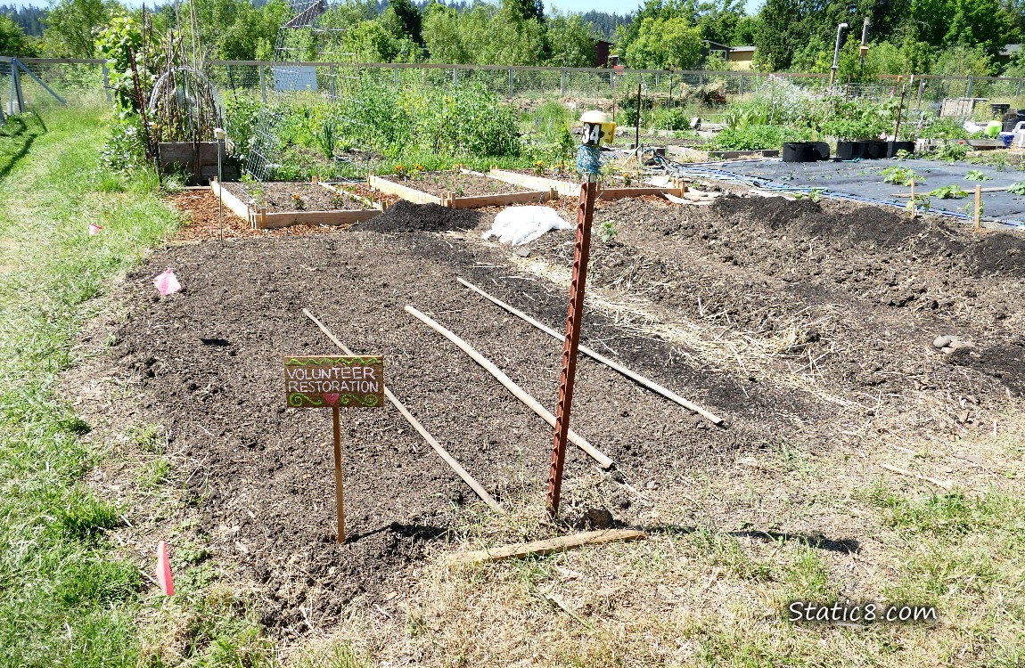 Garden plot with a sign, Volunteer Restoration