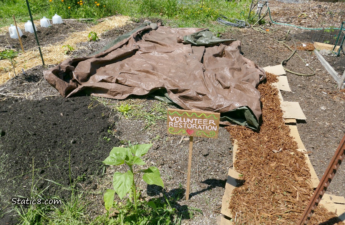 Garden plot with a sign, Volunteer Restoration