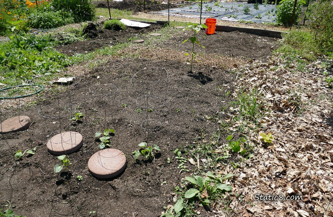 Garden plot