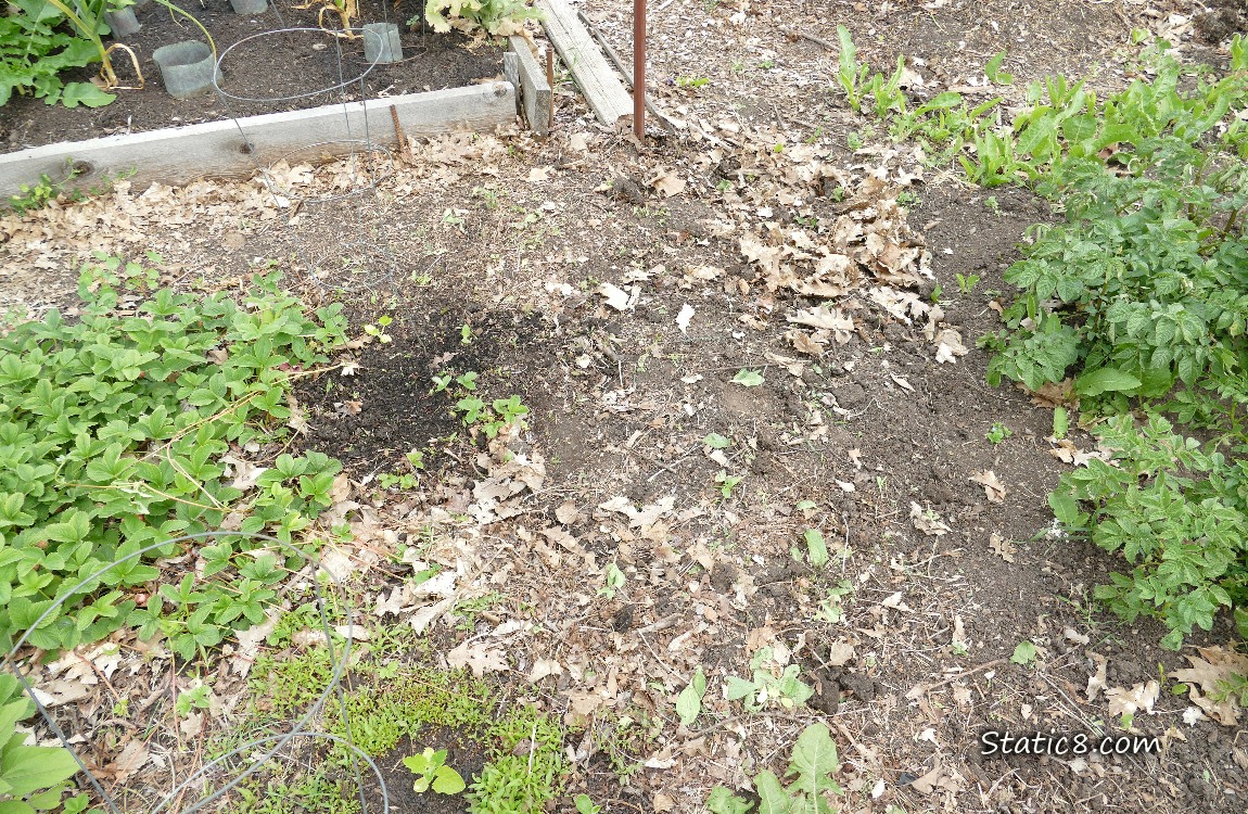 Garden plot