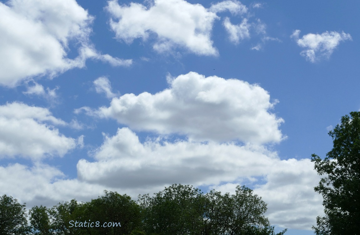 Clouds in a blue sky over trees