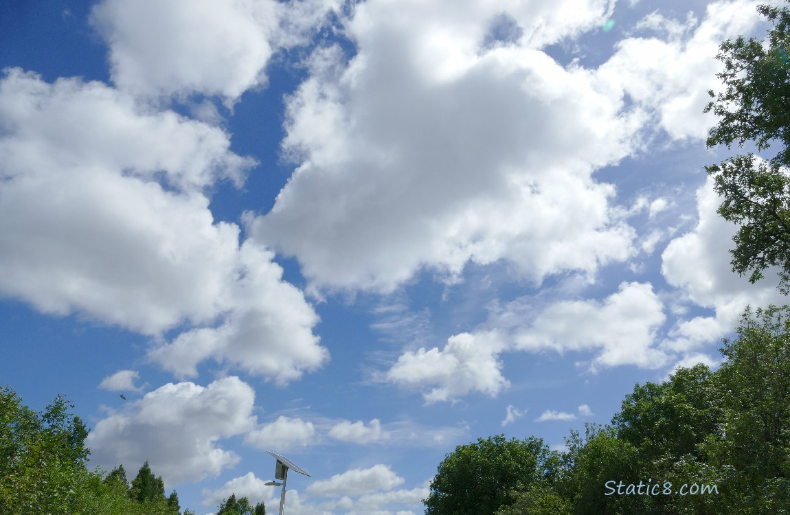 Clouds in a blue sky