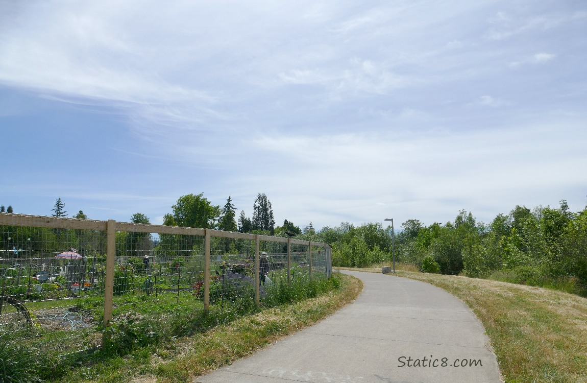 Sky over the community garden fence