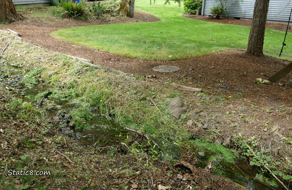 Rill next to a lawn