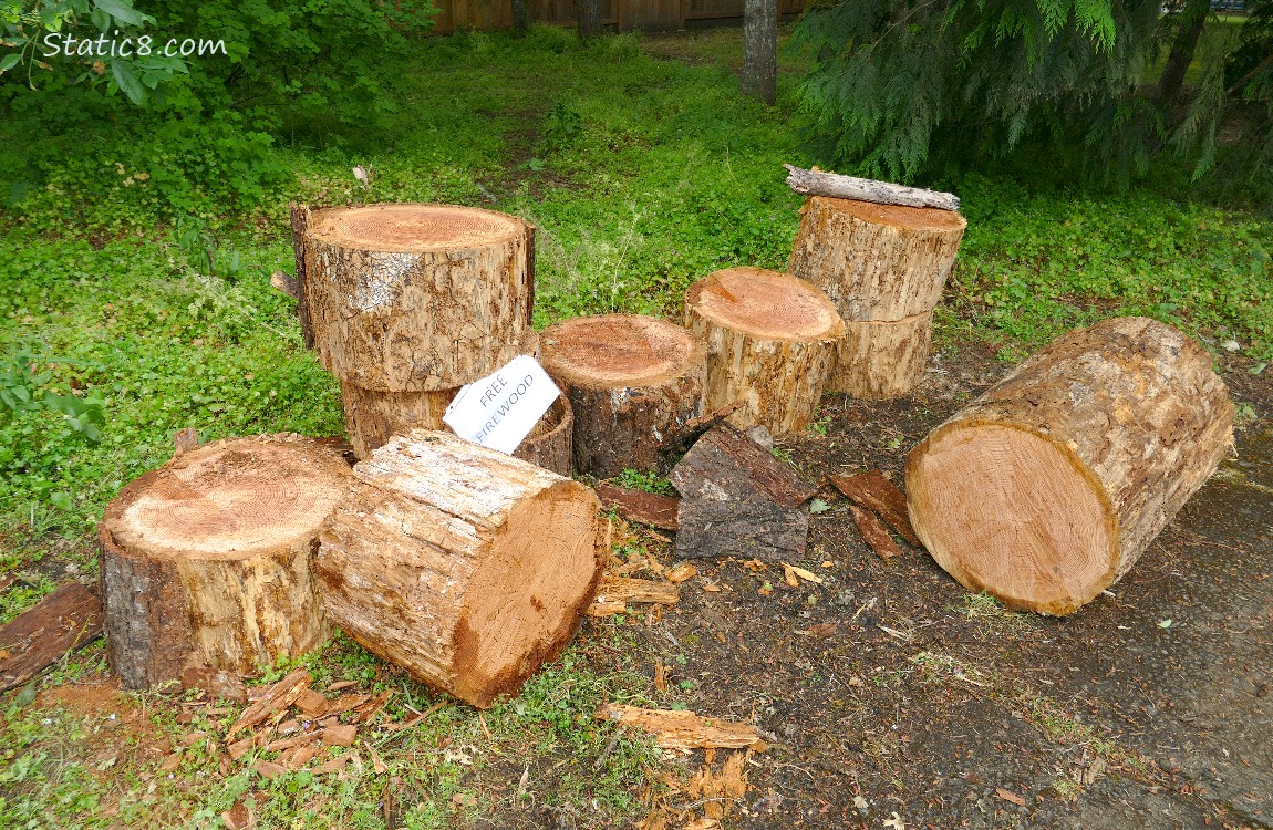 Free Firewood