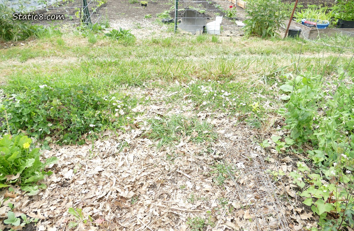 Garden plot