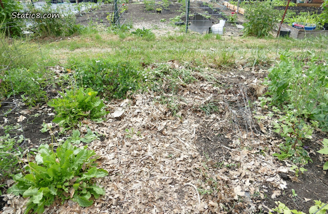 Garden plot