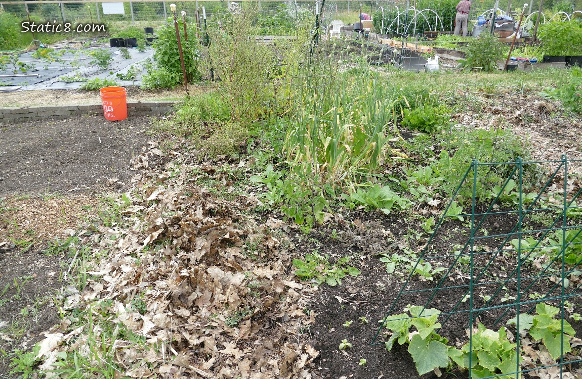 Garden plot