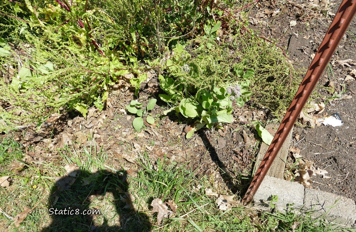 Garden plot