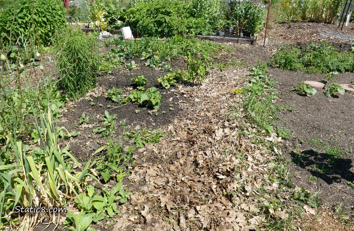 Garden plot