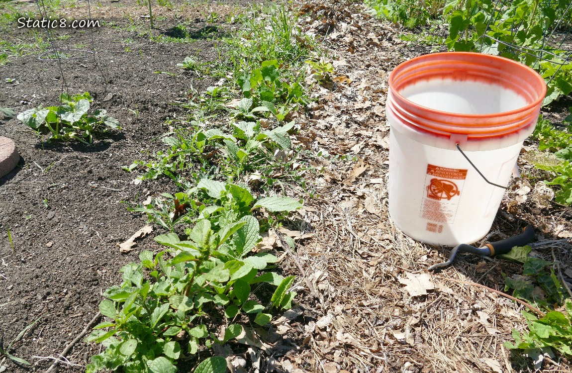 garden plot