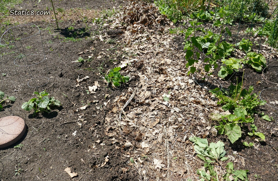 Garden plot