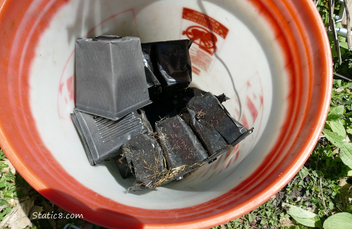 Black nursery pots in a orange bucket