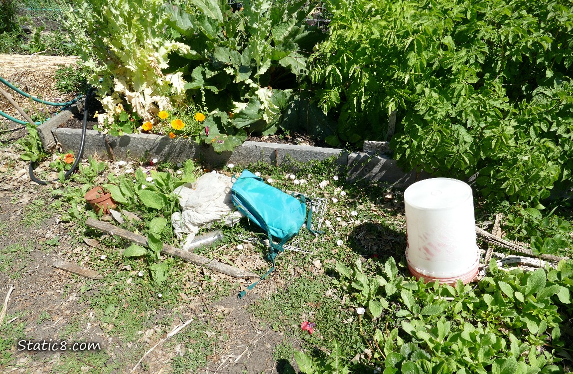 Garden plot