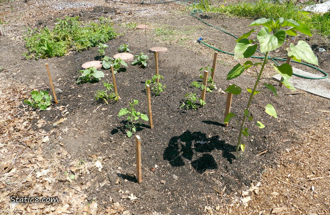 Garden plot