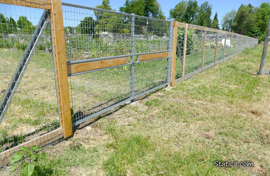 Wood and wire fence and gate