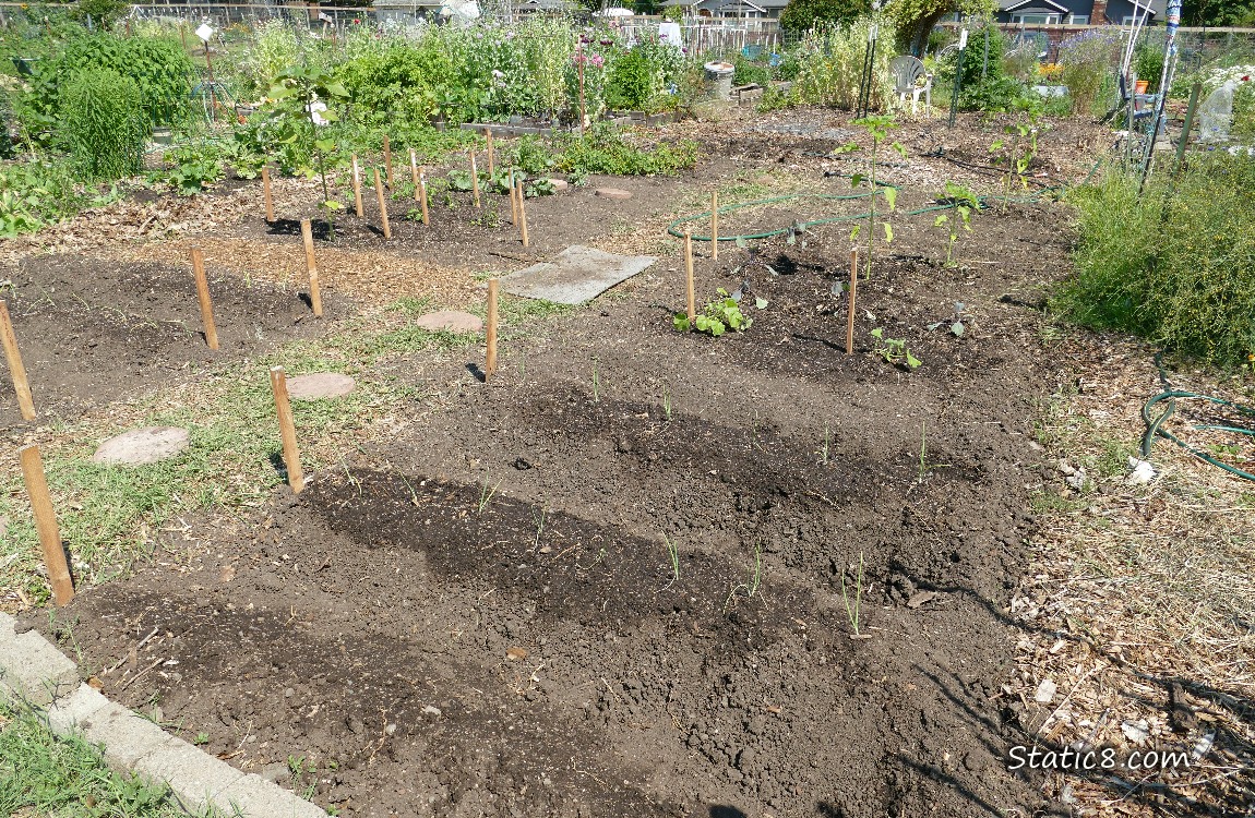 Garden plot