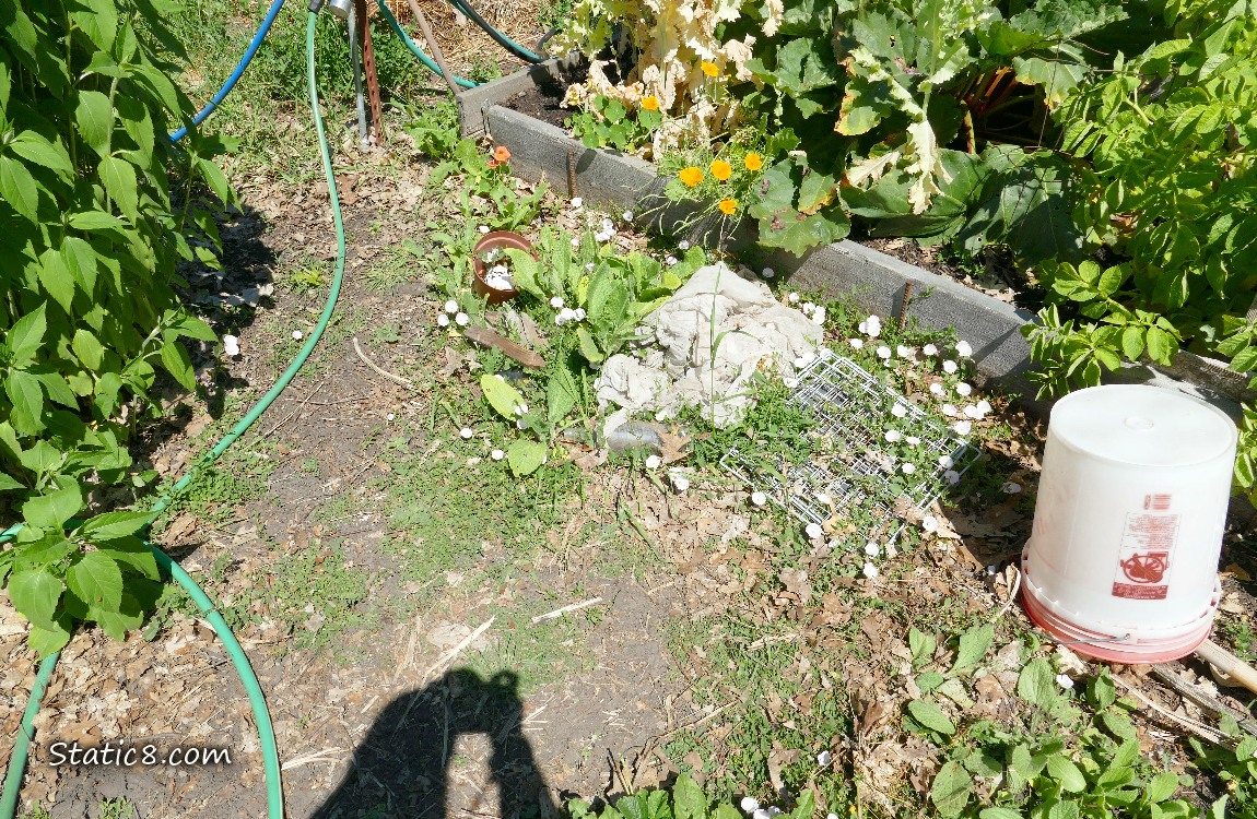 Garden plot