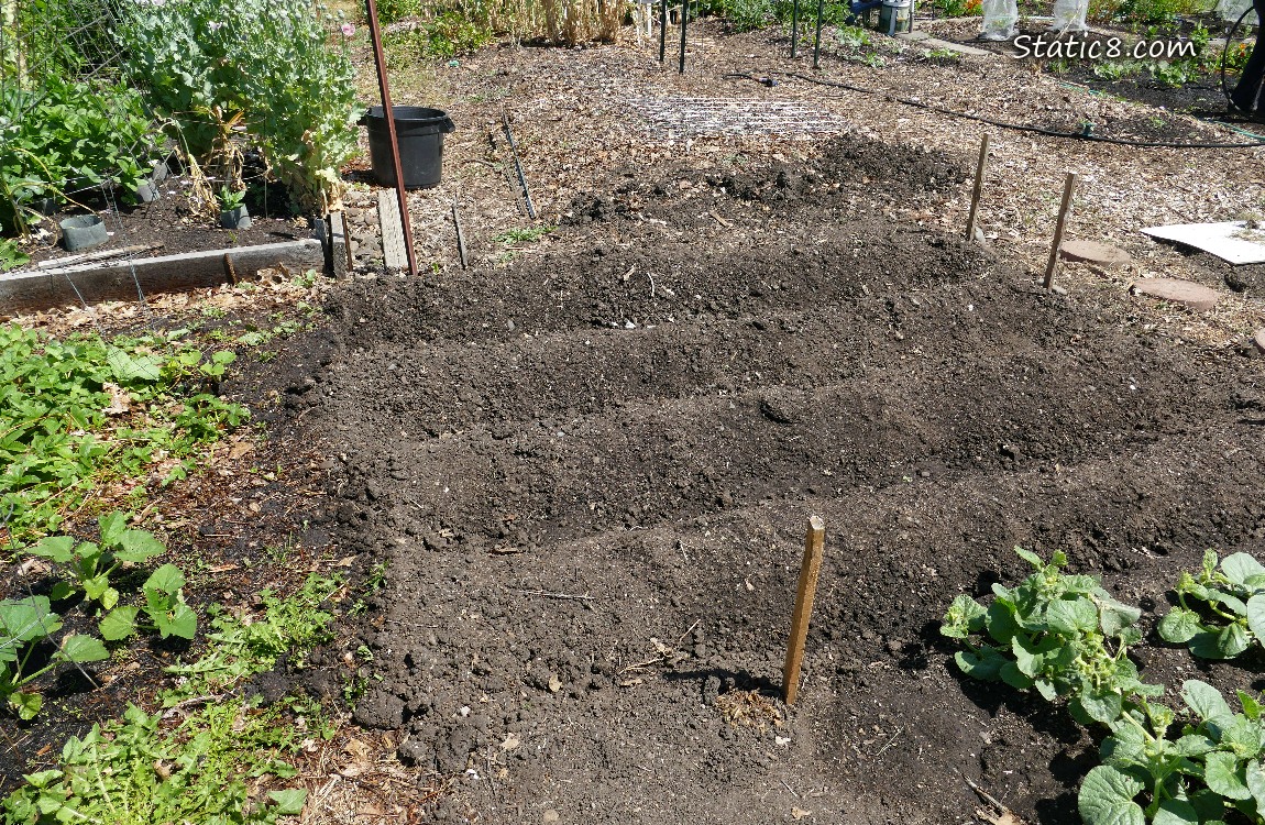 Garden plot