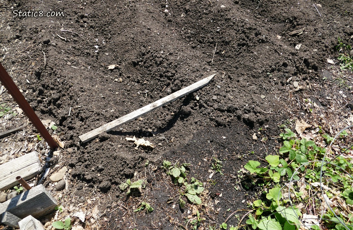 Garden plot