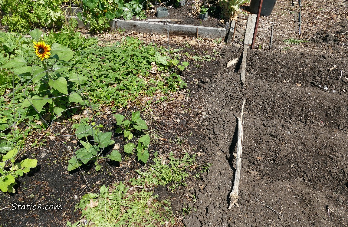 Garden plot