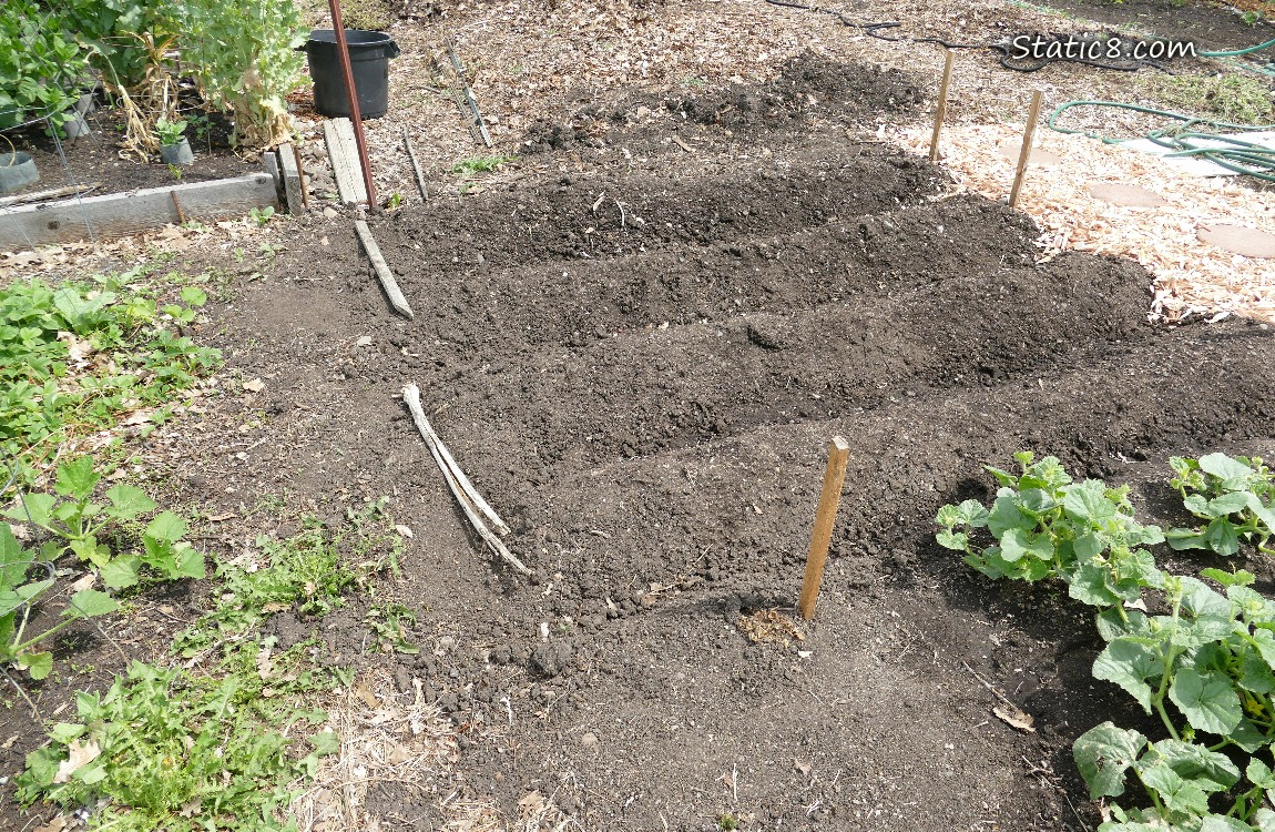 Garden plot border