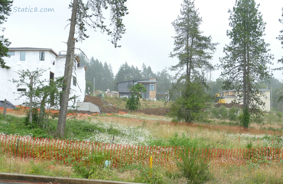 Houses being constructed on a hill