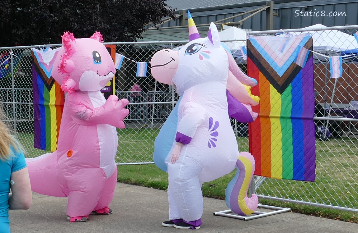 Inflatable Axolotl and Unicorn