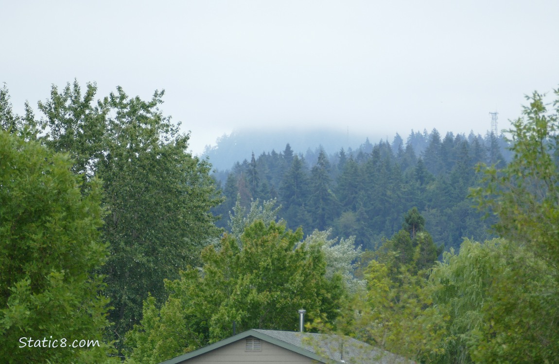 foggy hill in the distance