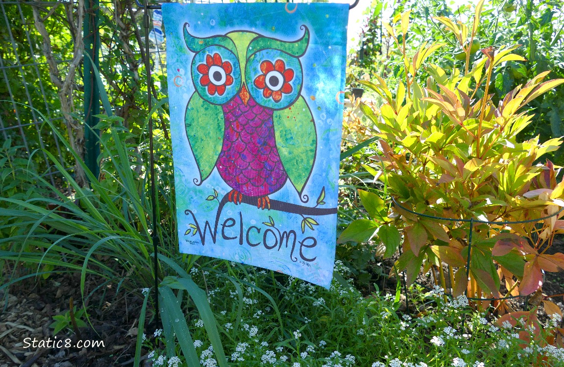 Garden sign says Welcome with a colourful owl