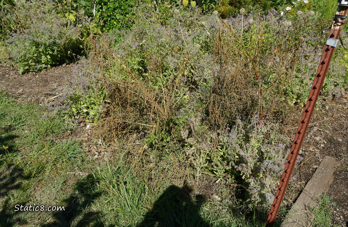 Garden plot