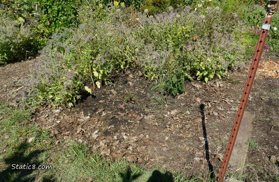 Garden plot