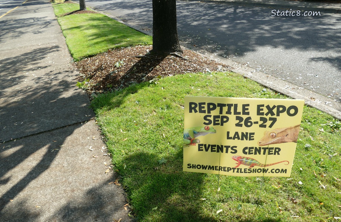 Reptile Show advertisment