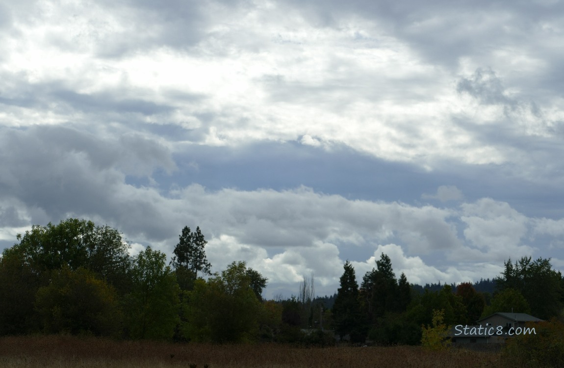 Clouds over the silhouette of trees