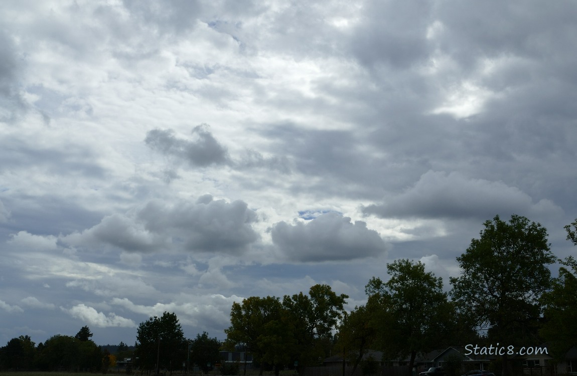 Clouds over the silhouette of trees