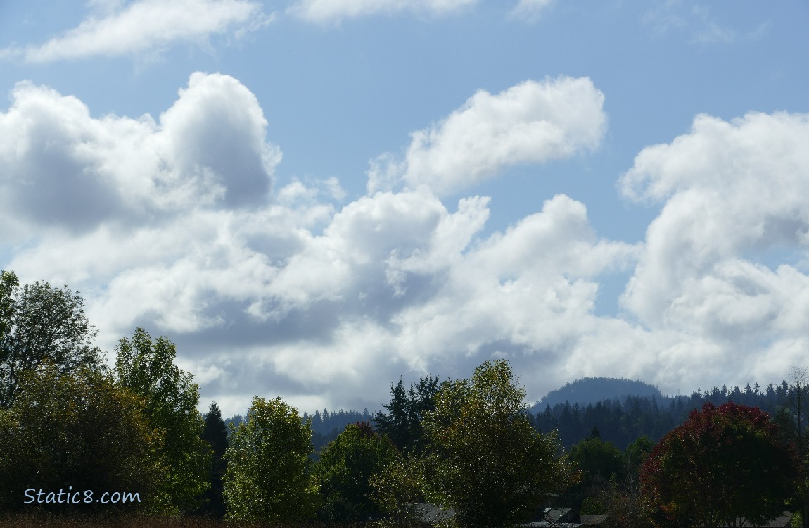 White puffy clouds in a blue sky over the silhouette of trees