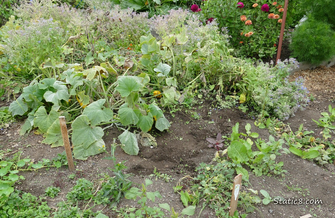 Garden plot