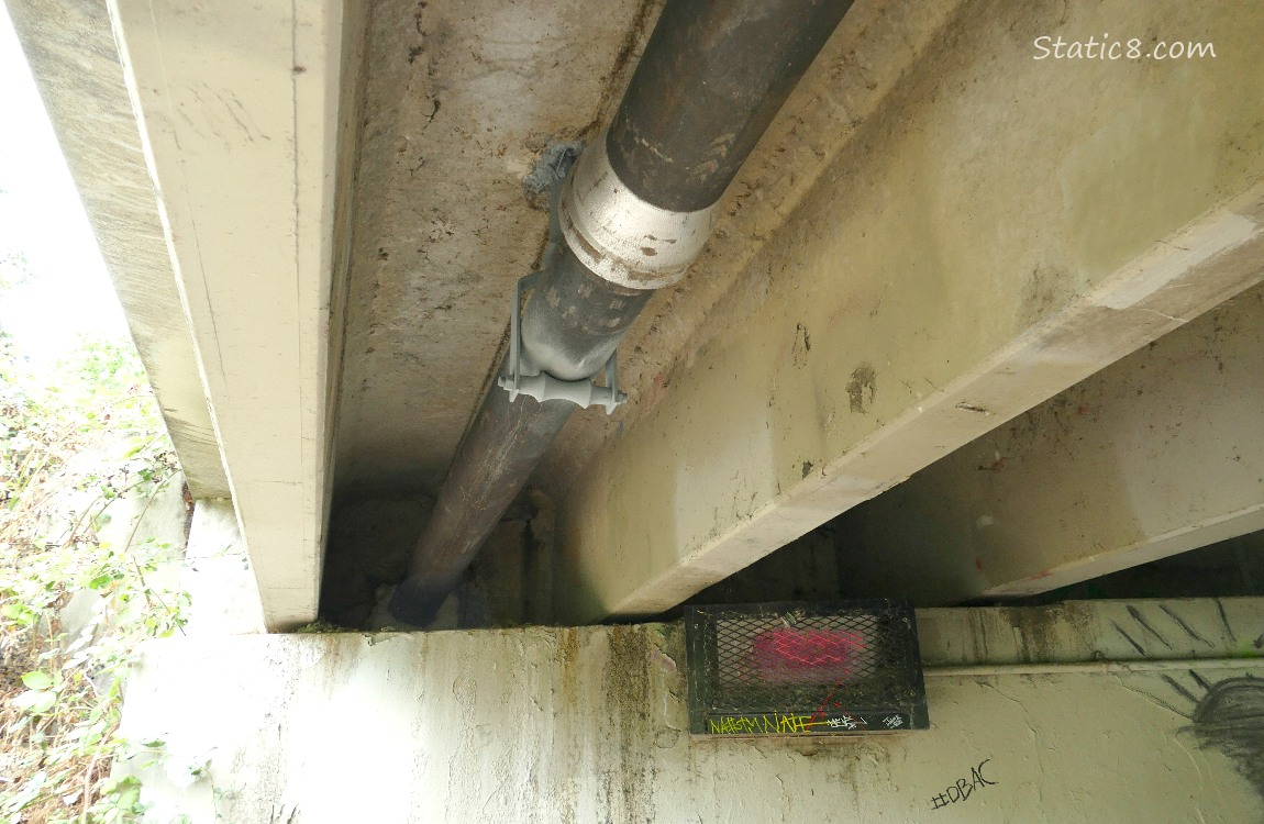 Looking up under a bridge at a pipe