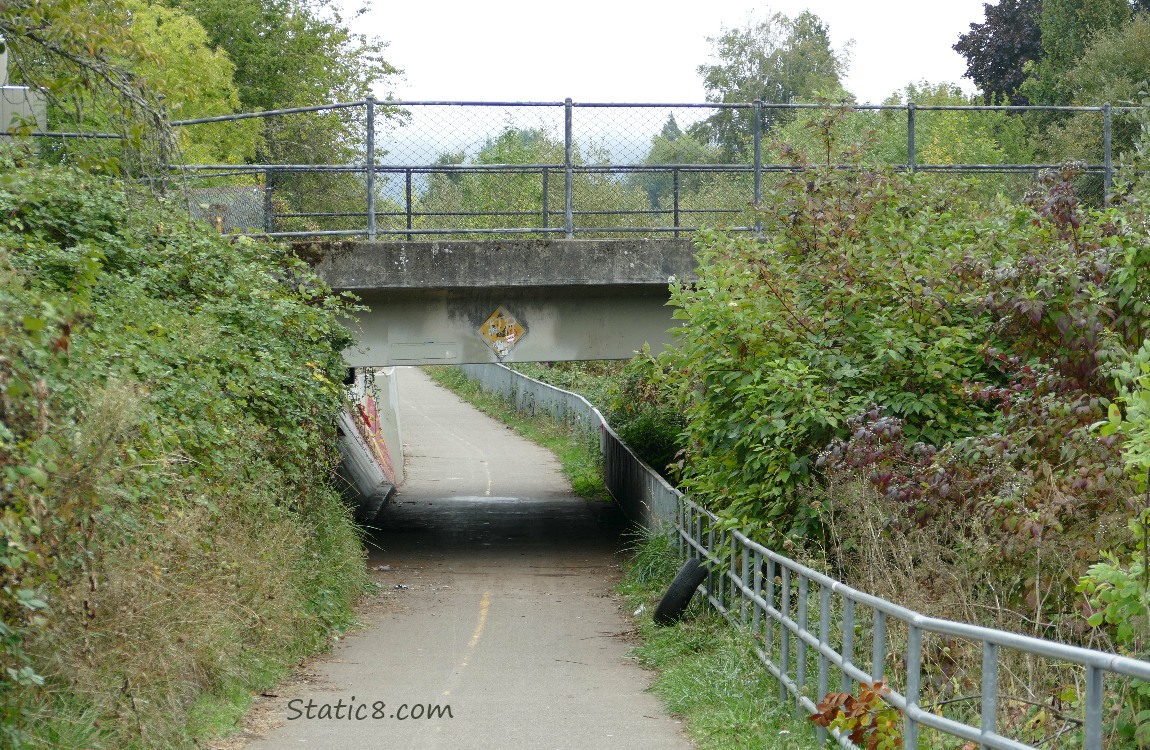 Path running under a bridge