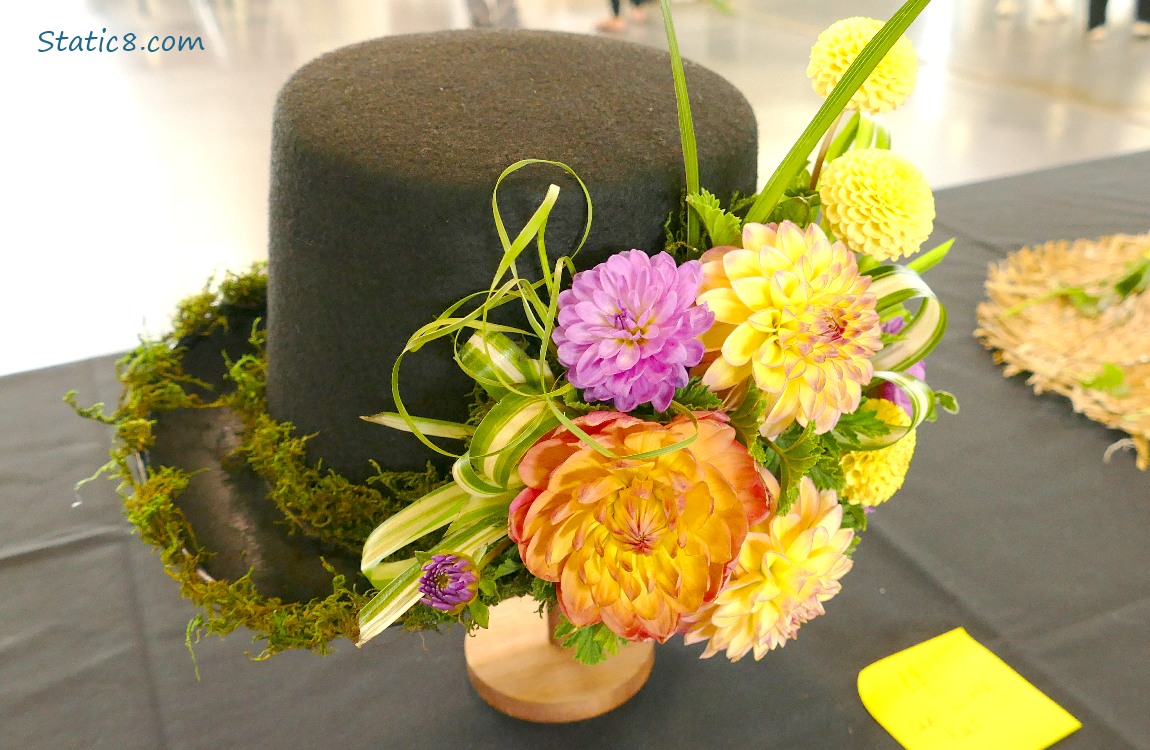 Dahlia blooms and moss arranged on a bowler hat