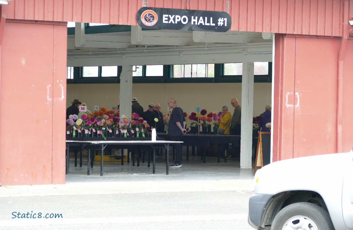 Barn doors open at Expo Hall 1